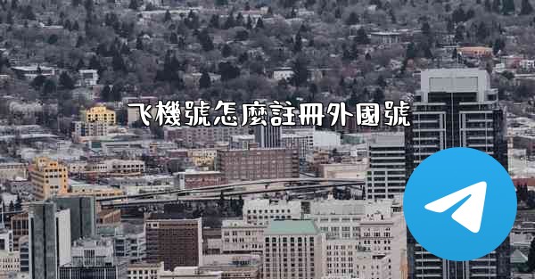 飞機號怎麼註冊外國號