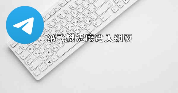 纸飞機怎麼进入網页