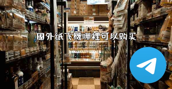 國外纸飞機哪裡可以购买