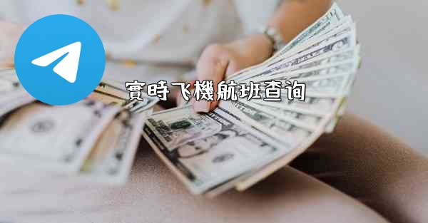 <b>實時飞機航班查询</b>