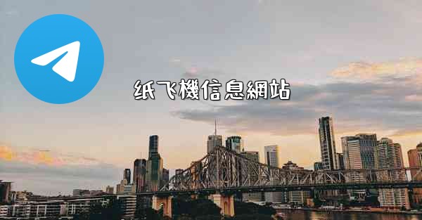 <b>纸飞機信息網站</b>