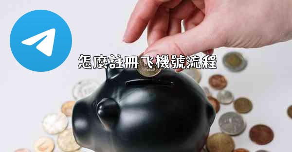 怎麼註冊飞機號流程