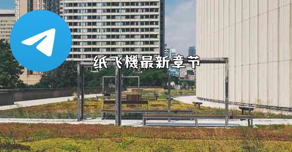 纸飞機最新章节