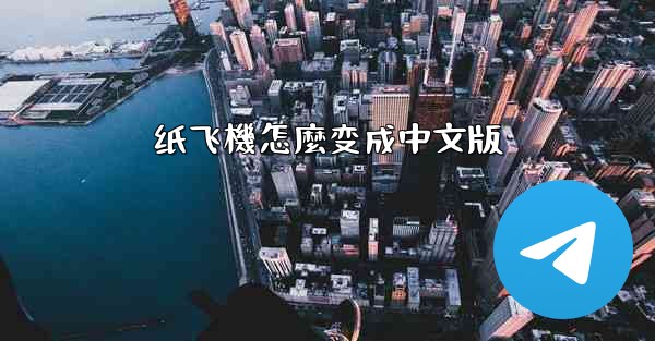 纸飞機怎麼变成中文版