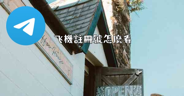 飞機註冊號怎麼看