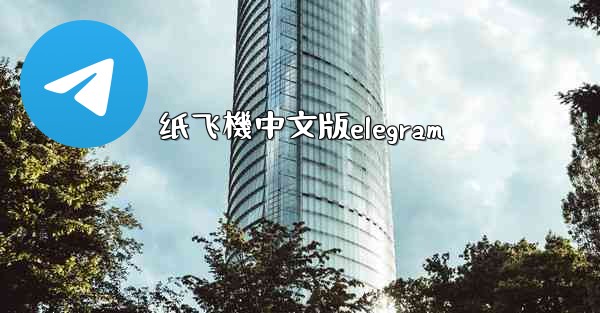 纸飞機中文版elegram