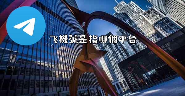 <b>飞機號是指哪個平台</b>