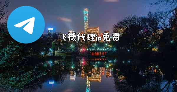 飞機代理ip免费