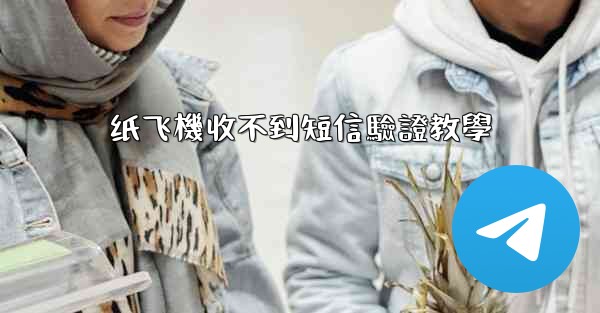 纸飞機收不到短信驗證教學