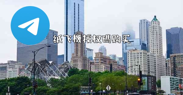 纸飞機授权碼购买