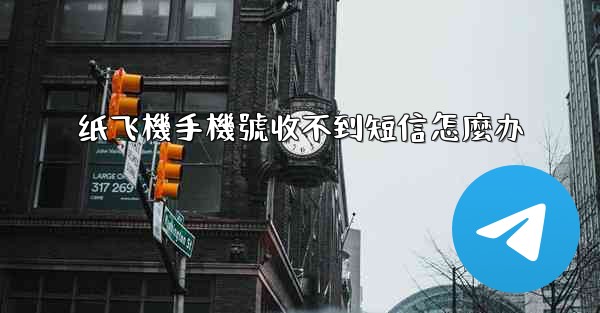 纸飞機手機號收不到短信怎麼办