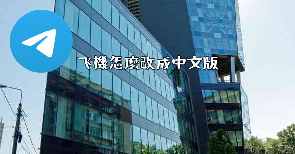 飞機怎麼改成中文版