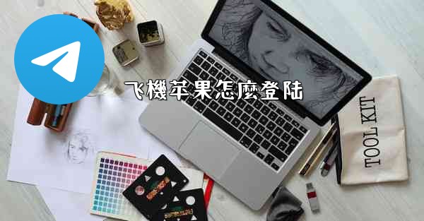 飞機苹果怎麼登陆