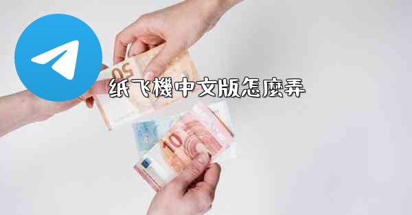 纸飞機中文版怎麼弄