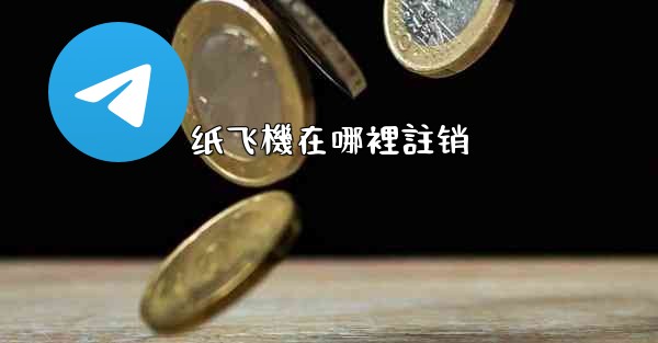 纸飞機在哪裡註销