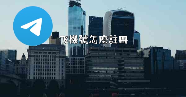 飞機號怎麼註冊