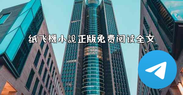 纸飞機小說正版免费阅读全文