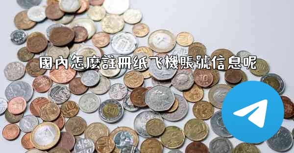 國內怎麼註冊纸飞機賬號信息呢