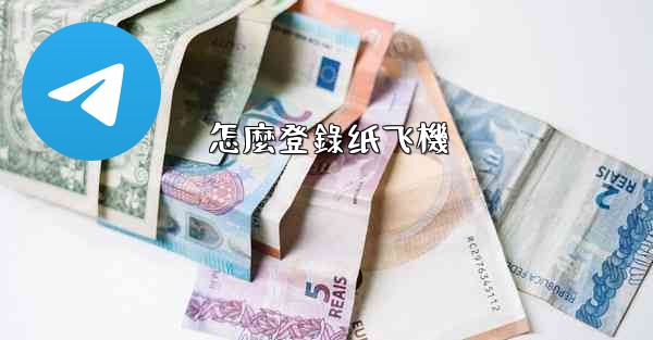 怎麼登錄纸飞機