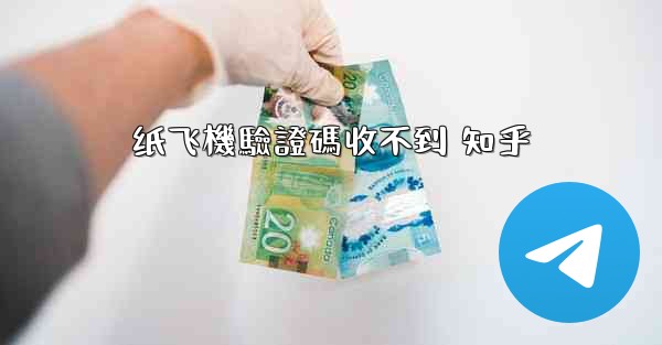 纸飞機驗證碼收不到 知乎
