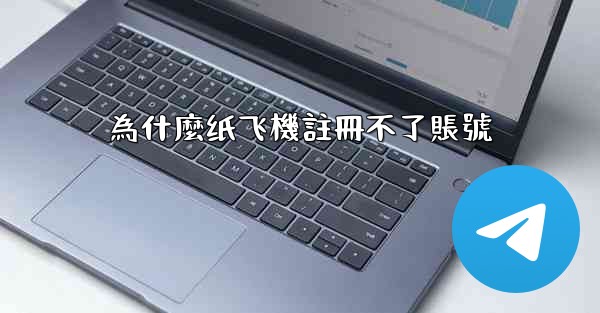 為什麼纸飞機註冊不了賬號