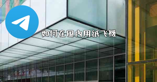 如何在國內用纸飞機