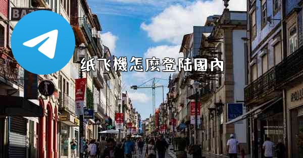 纸飞機怎麼登陆國內