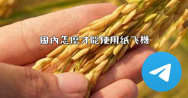 國內怎麼才能使用纸飞機