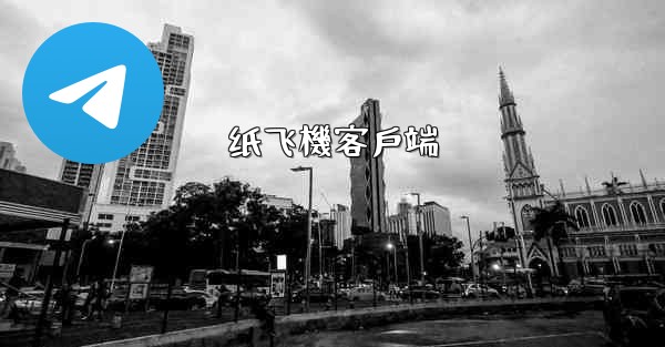 纸飞機客戶端