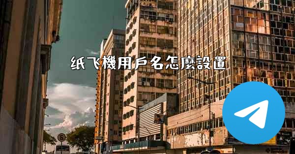 纸飞機用戶名怎麼設置