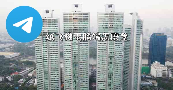 纸飞機電腦端怎麼登