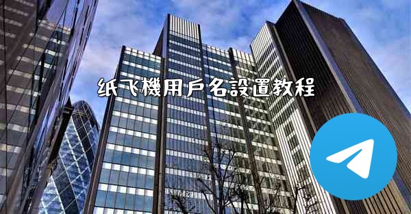 纸飞機用戶名設置教程