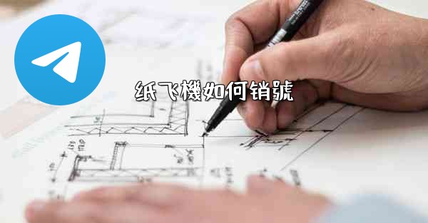 纸飞機如何销號