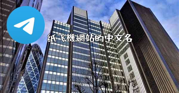 纸飞機網站的中文名