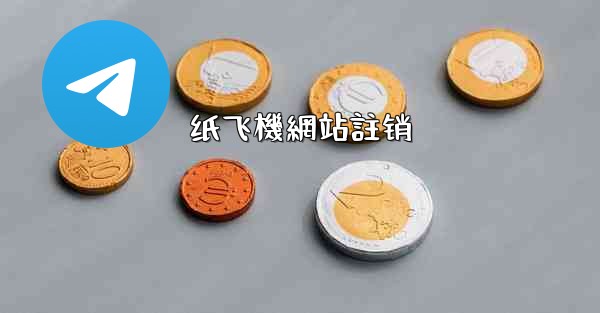 纸飞機網站註销