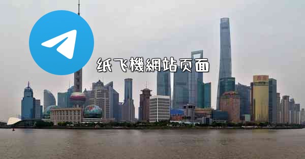 纸飞機網站页面