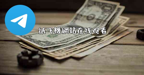 纸飞機網站在线观看