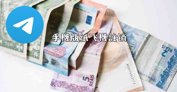 手機版纸飞機註销