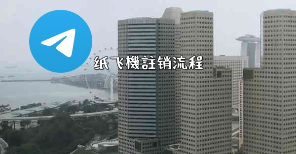 纸飞機註销流程