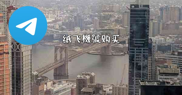 纸飞機號购买