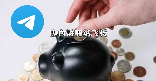 國內註冊纸飞機