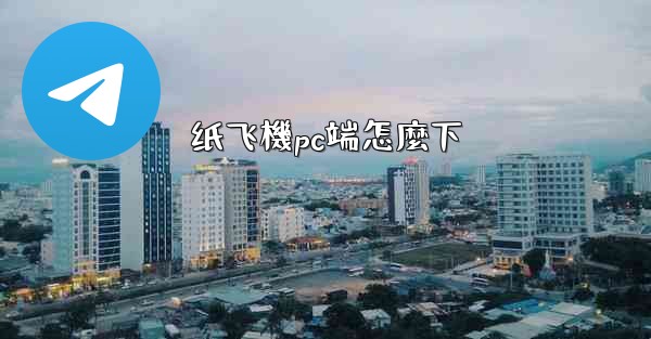 纸飞機pc端怎麼下