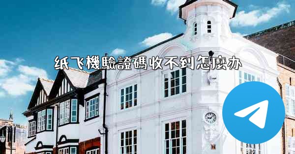 纸飞機驗證碼收不到怎麼办