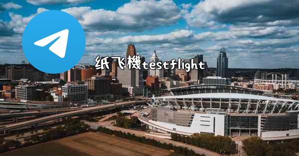 纸飞機testflight