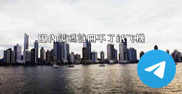 國內號碼註冊不了纸飞機