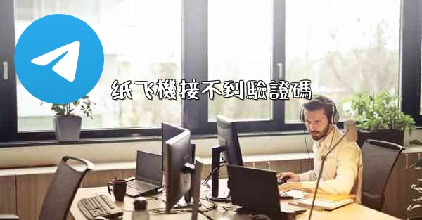 纸飞機接不到驗證碼