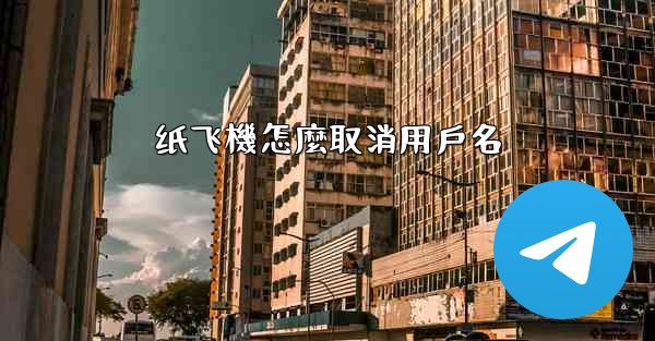 纸飞機怎麼取消用戶名