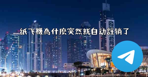 纸飞機為什麼突然就自动註销了