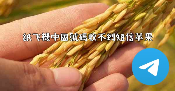 纸飞機中國號碼收不到短信苹果