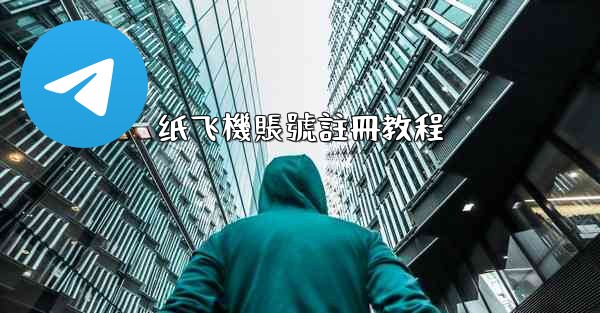 纸飞機賬號註冊教程